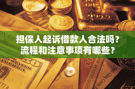 武汉担保人起诉借款人合法吗？流程和注意事项有哪些？