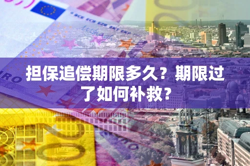 武汉担保追偿期限多久？期限过了如何补救？