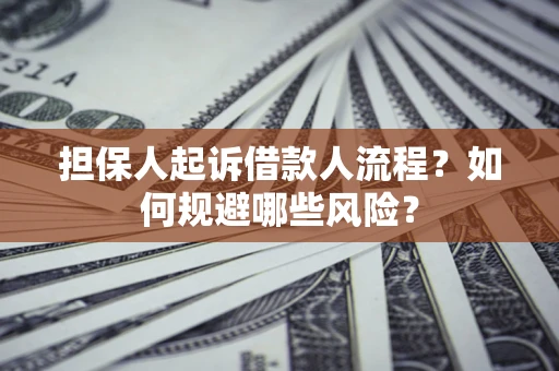 武汉担保人起诉借款人流程？如何规避哪些风险？