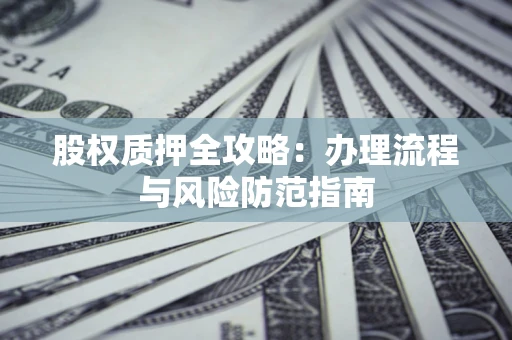 武汉股权质押全攻略：办理流程与风险防范指南