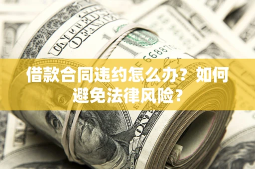 武汉借款合同违约怎么办？如何避免法律风险？