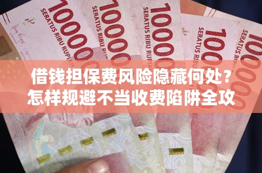 武汉借钱担保费风险隐藏何处？怎样规避不当收费陷阱全攻略！